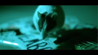 Alice In Chains – Never Fade (Official Video)