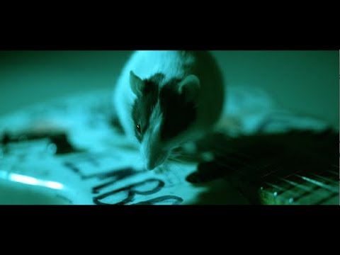 Alice In Chains – Never Fade (Official Video)