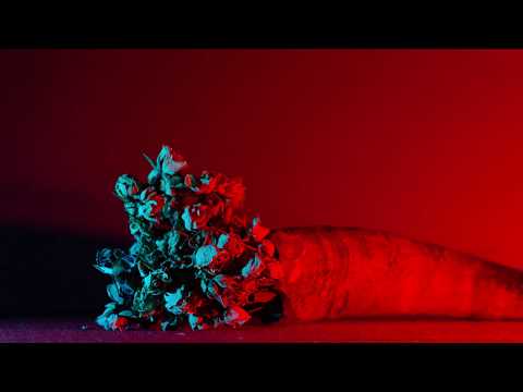 BARONESS – Seasons [OFFICIAL]