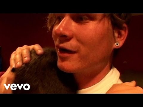 blink-182 – Not Now