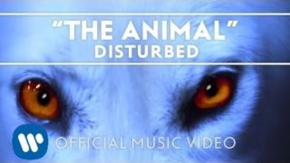 Disturbed – The Animal [Official Music Video]