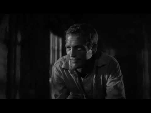 Paw – Dragline (2018 video)