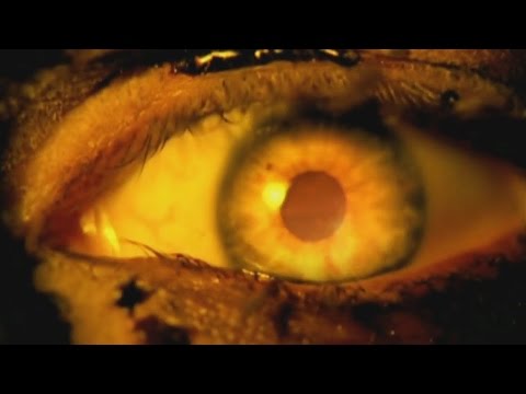 SLAYER – Eyes of The Insane (OFFICIAL MUSIC VIDEO)
