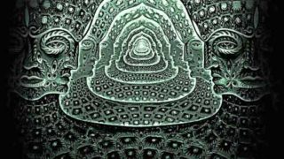 Tool – Jambi