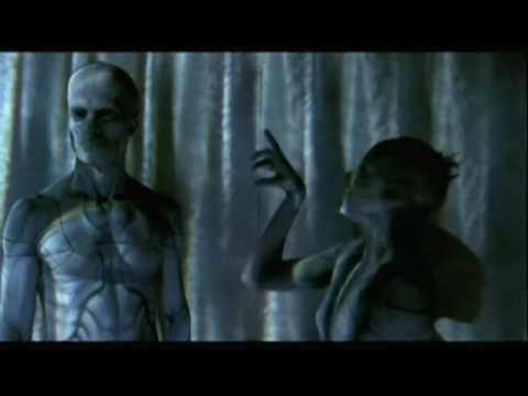 Tool – Schism (Official Music Video)