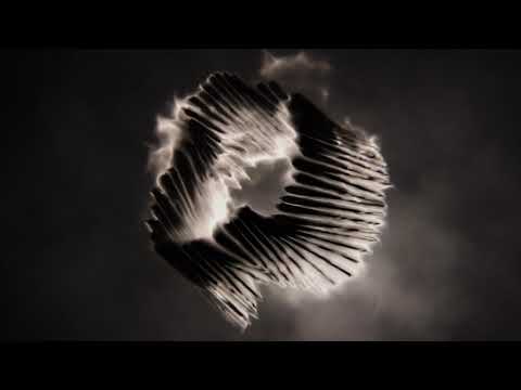 Korn – Let The Dark Do The Rest (Official Audio)