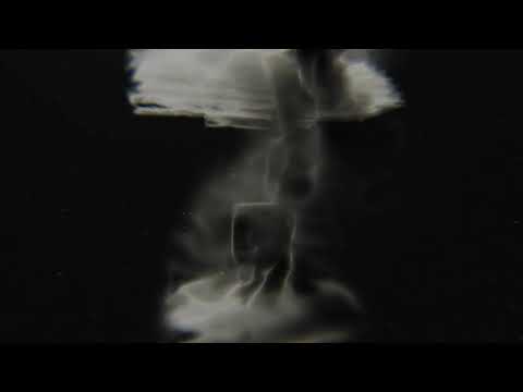 Korn – My Confession (Official Audio)